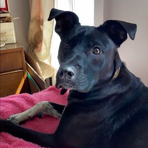 Meet your Posher, Charlotte